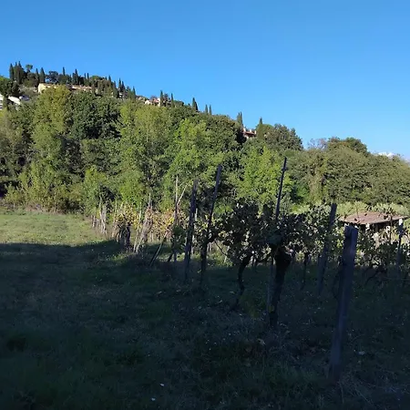 La Vigna *