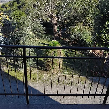 La Vigna *
