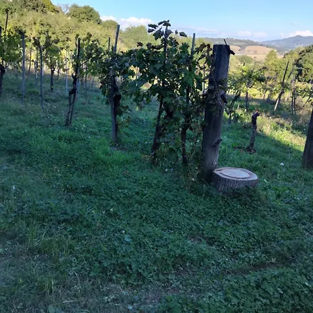 Dom wakacyjny La Vigna Chiusi