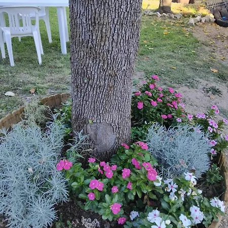 La Vigna *